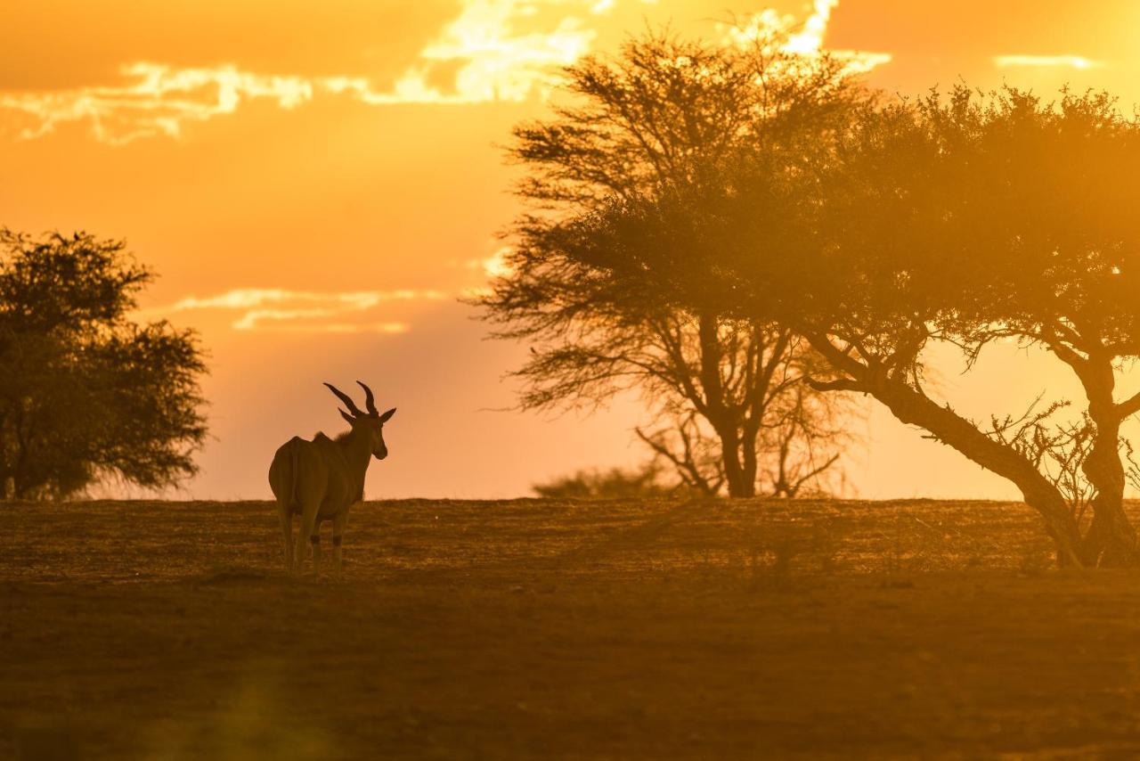 Gondwana Kalahari Anib Lodge Hardap Dış mekan fotoğraf